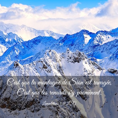 Picture 03 - Lamentations 5:18 LSG - C'est que la montagne de Sion est ravagée, C'est - Bible Verse Picture