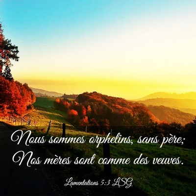 Picture 03 - Lamentations 5:3 LSG - Nous sommes orphelins, sans père; Nos mères - Bible Verse Picture