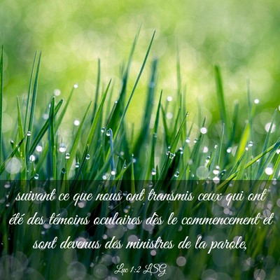 Picture 03 - Luc 1:2 LSG - suivant ce que nous ont transmis ceux qui ont - Bible Verse Picture