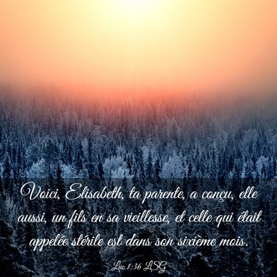 Picture 03 - Luc 1:36 LSG - Voici, Elisabeth, ta parente, a conçu, elle - Bible Verse Picture