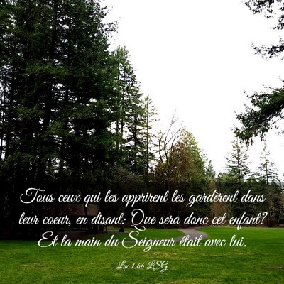 Picture 03 - Luc 1:66 LSG - Tous ceux qui les apprirent les gardèrent dans - Bible Verse Picture