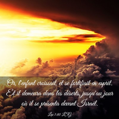 Picture 03 - Luc 1:80 LSG - Or, l'enfant croissait, et se fortifiait en - Bible Verse Picture