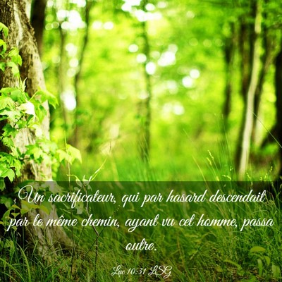 Picture 03 - Luc 10:31 LSG - Un sacrificateur, qui par hasard descendait par - Bible Verse Picture