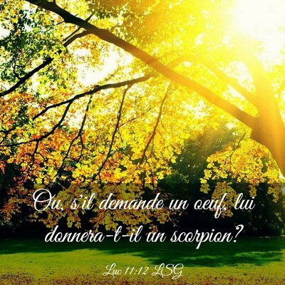 Picture 03 - Luc 11:12 LSG - Ou, s'il demande un oeuf, lui donnera-t-il un - Bible Verse Picture