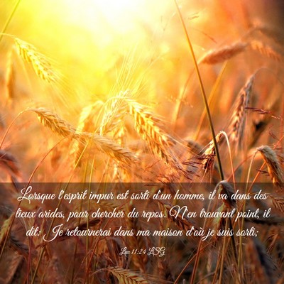 Picture 03 - Luc 11:24 LSG - Lorsque l'esprit impur est sorti d'un homme, il - Bible Verse Picture