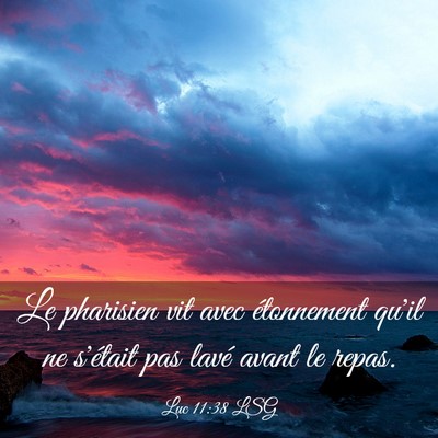 Picture 03 - Luc 11:38 LSG - Le pharisien vit avec étonnement qu'il ne - Bible Verse Picture