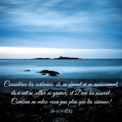Picture 03 - Luc 12:24 LSG - Considérez les corbeaux: ils ne sèment ni ne - Bible Verse Picture