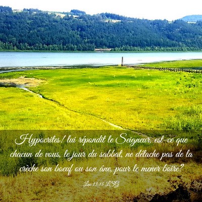 Picture 03 - Luc 13:15 LSG - Hypocrites! lui répondit le Seigneur, est-ce que - Bible Verse Picture