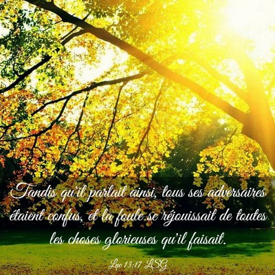 Picture 03 - Luc 13:17 LSG - Tandis qu'il parlait ainsi, tous ses adversaires - Bible Verse Picture