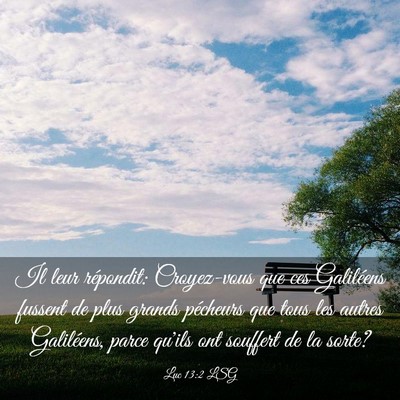 Picture 03 - Luc 13:2 LSG - Il leur répondit: Croyez-vous que ces Galiléens - Bible Verse Picture
