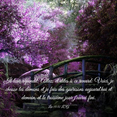Picture 03 - Luc 13:32 LSG - Il leur répondit: Allez, et dites à ce renard: - Bible Verse Picture