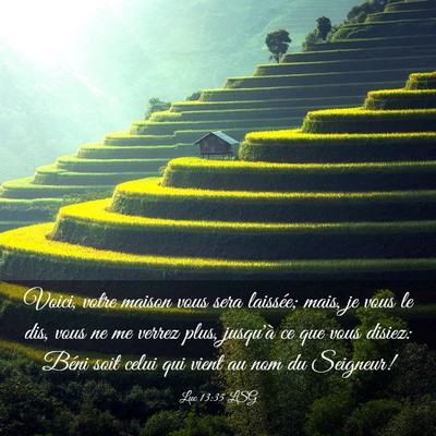 Picture 03 - Luc 13:35 LSG - Voici, votre maison vous sera laissée; mais, je - Bible Verse Picture