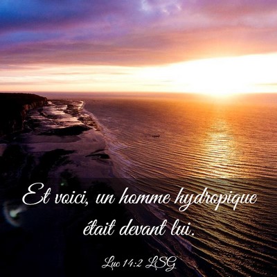 Picture 03 - Luc 14:2 LSG - Et voici, un homme hydropique était devant - Bible Verse Picture
