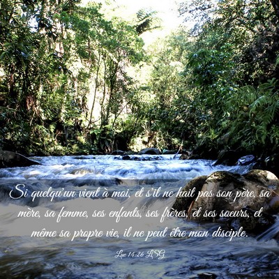 Picture 03 - Luc 14:26 LSG - Si quelqu'un vient à moi, et s'il ne hait pas - Bible Verse Picture