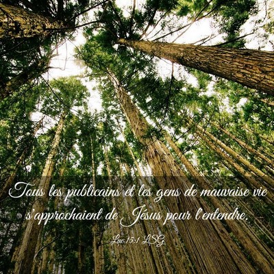 Picture 03 - Luc 15:1 LSG - Tous les publicains et les gens de mauvaise vie - Bible Verse Picture