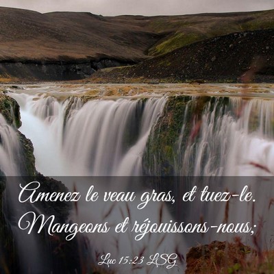 Picture 03 - Luc 15:23 LSG - Amenez le veau gras, et tuez-le. Mangeons et - Bible Verse Picture