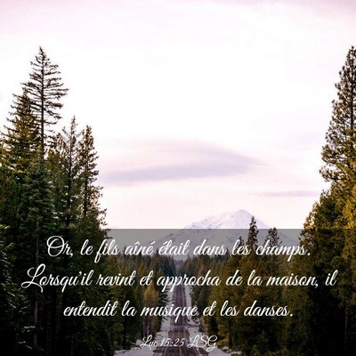 Picture 03 - Luc 15:25 LSG - Or, le fils aîné était dans les champs. - Bible Verse Picture