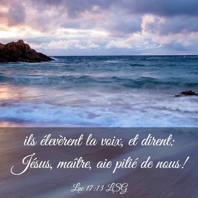 Picture 03 - Luc 17:13 LSG - ils élevèrent la voix, et dirent: Jésus, - Bible Verse Picture