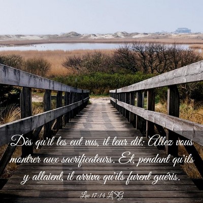 Picture 03 - Luc 17:14 LSG - Dès qu'il les eut vus, il leur dit: Allez vous - Bible Verse Picture