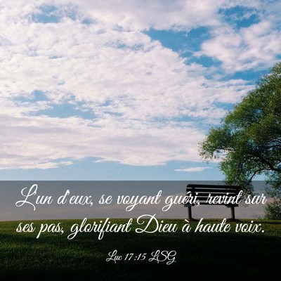 Picture 03 - Luc 17:15 LSG - L'un d'eux, se voyant guéri, revint sur ses pas, - Bible Verse Picture