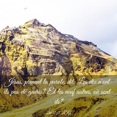 Picture 03 - Luc 17:17 LSG - Jésus, prenant la parole, dit: Les dix n'ont-ils - Bible Verse Picture