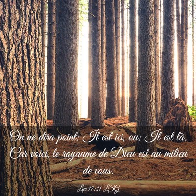 Picture 03 - Luc 17:21 LSG - On ne dira point: Il est ici, ou: Il est là. Car - Bible Verse Picture