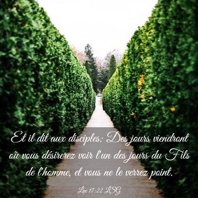 Picture 03 - Luc 17:22 LSG - Et il dit aux disciples: Des jours viendront où - Bible Verse Picture