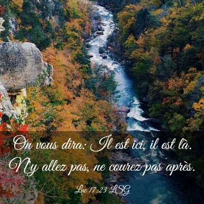 Picture 03 - Luc 17:23 LSG - On vous dira: Il est ici, il est là. N'y allez - Bible Verse Picture