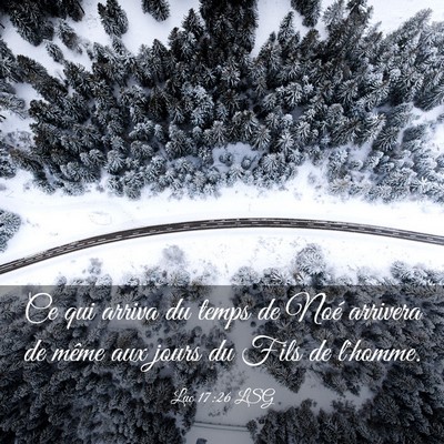 Picture 03 - Luc 17:26 LSG - Ce qui arriva du temps de Noé arrivera de même - Bible Verse Picture