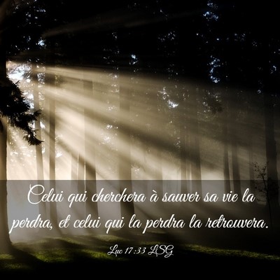 Picture 03 - Luc 17:33 LSG - Celui qui cherchera à sauver sa vie la perdra, - Bible Verse Picture