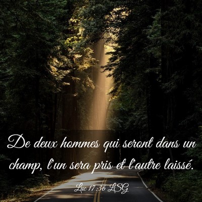 Picture 03 - Luc 17:36 LSG - De deux hommes qui seront dans un champ, l'un - Bible Verse Picture