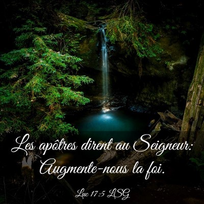 Picture 03 - Luc 17:5 LSG - Les apôtres dirent au Seigneur: Augmente-nous la - Bible Verse Picture