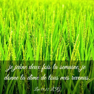 Picture 03 - Luc 18:12 LSG - je jeûne deux fois la semaine, je donne la dîme - Bible Verse Picture