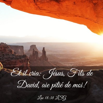 Picture 03 - Luc 18:38 LSG - Et il cria: Jésus, Fils de David, aie pitié de - Bible Verse Picture