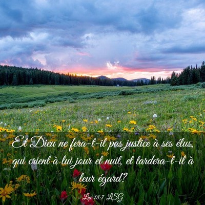 Picture 03 - Luc 18:7 LSG - Et Dieu ne fera-t-il pas justice à ses élus, - Bible Verse Picture