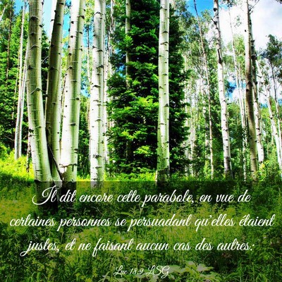Picture 03 - Luc 18:9 LSG - Il dit encore cette parabole, en vue de certaines - Bible Verse Picture