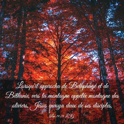 Picture 03 - Luc 19:29 LSG - Lorsqu'il approcha de Bethphagé et de Béthanie, - Bible Verse Picture