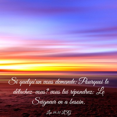 Picture 03 - Luc 19:31 LSG - Si quelqu'un vous demande: Pourquoi le - Bible Verse Picture