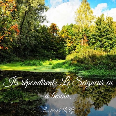 Picture 03 - Luc 19:34 LSG - Ils répondirent: Le Seigneur en a - Bible Verse Picture