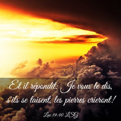Picture 03 - Luc 19:40 LSG - Et il répondit: Je vous le dis, s'ils se - Bible Verse Picture