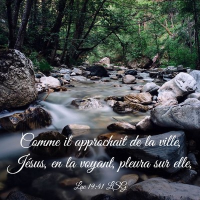 Picture 03 - Luc 19:41 LSG - Comme il approchait de la ville, Jésus, en la - Bible Verse Picture