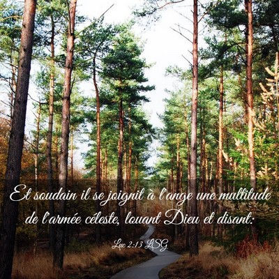 Picture 03 - Luc 2:13 LSG - Et soudain il se joignit à l'ange une multitude - Bible Verse Picture