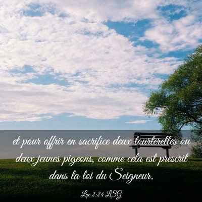 Picture 03 - Luc 2:24 LSG - et pour offrir en sacrifice deux tourterelles ou - Bible Verse Picture