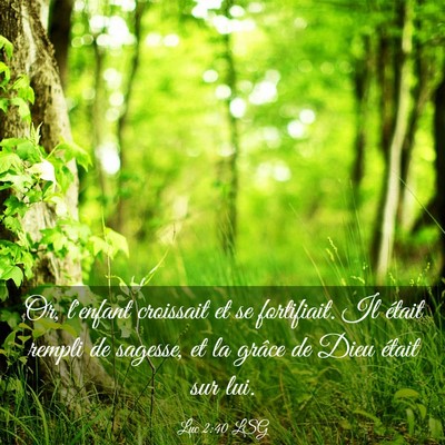Picture 03 - Luc 2:40 LSG - Or, l'enfant croissait et se fortifiait. Il - Bible Verse Picture
