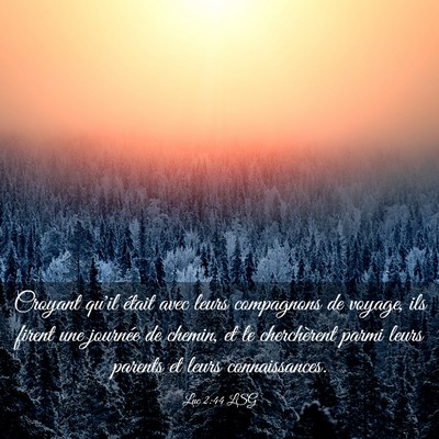 Picture 03 - Luc 2:44 LSG - Croyant qu'il était avec leurs compagnons de - Bible Verse Picture