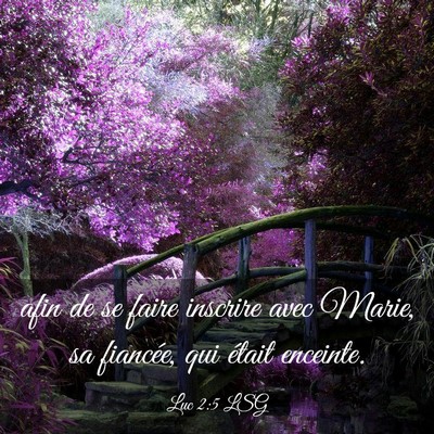 Picture 03 - Luc 2:5 LSG - afin de se faire inscrire avec Marie, sa - Bible Verse Picture
