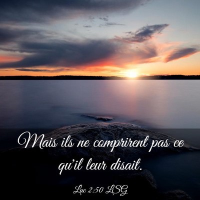 Picture 03 - Luc 2:50 LSG - Mais ils ne comprirent pas ce qu'il leur - Bible Verse Picture