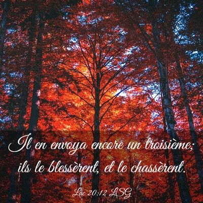 Picture 03 - Luc 20:12 LSG - Il en envoya encore un troisième; ils le - Bible Verse Picture