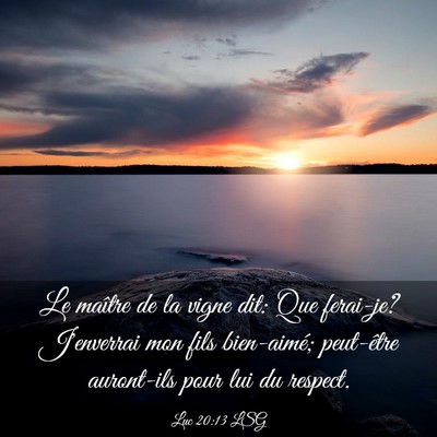 Picture 03 - Luc 20:13 LSG - Le maître de la vigne dit: Que ferai-je? - Bible Verse Picture