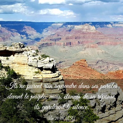 Picture 03 - Luc 20:26 LSG - Ils ne purent rien reprendre dans ses paroles - Bible Verse Picture
